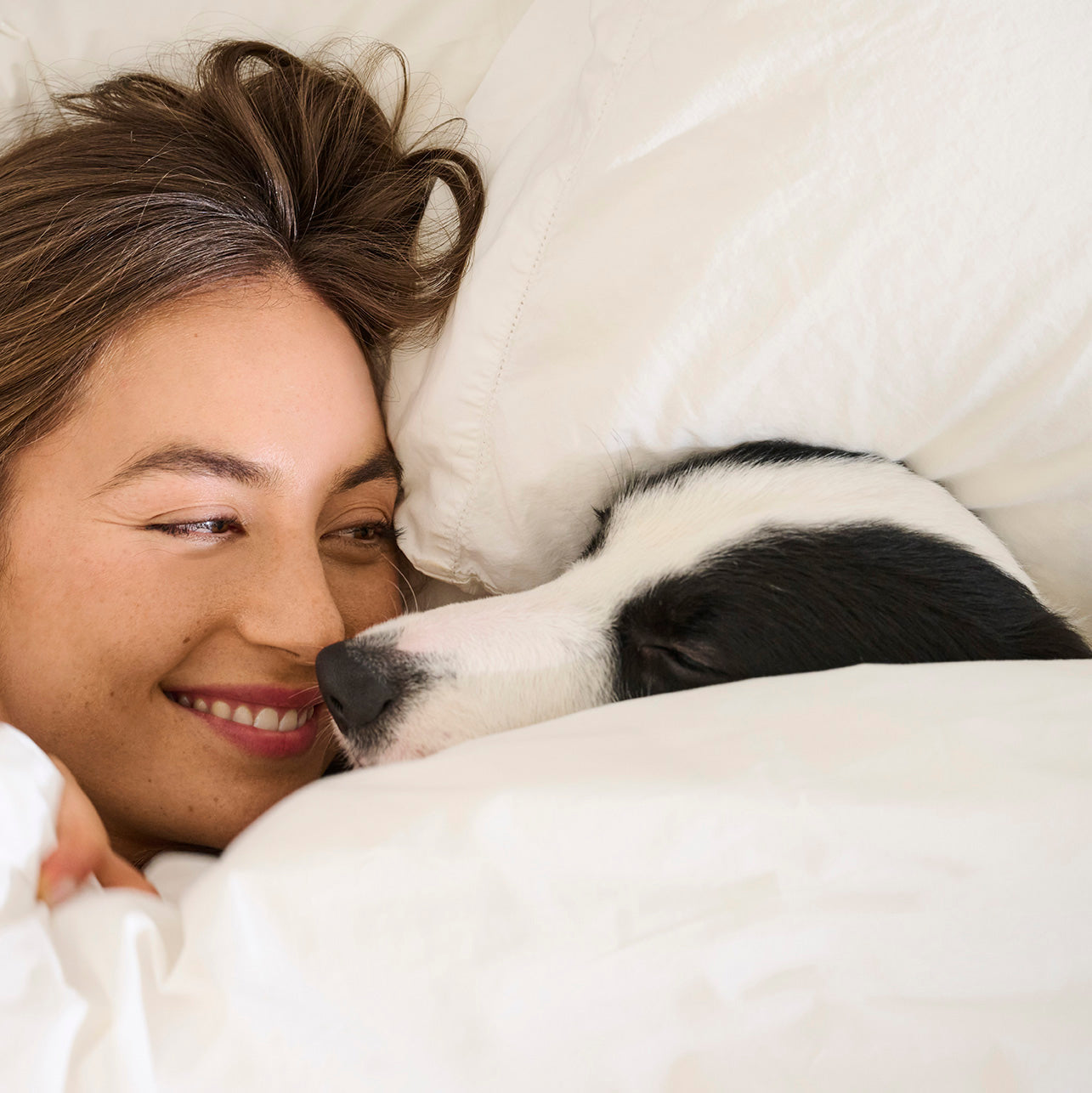 Calming Chews