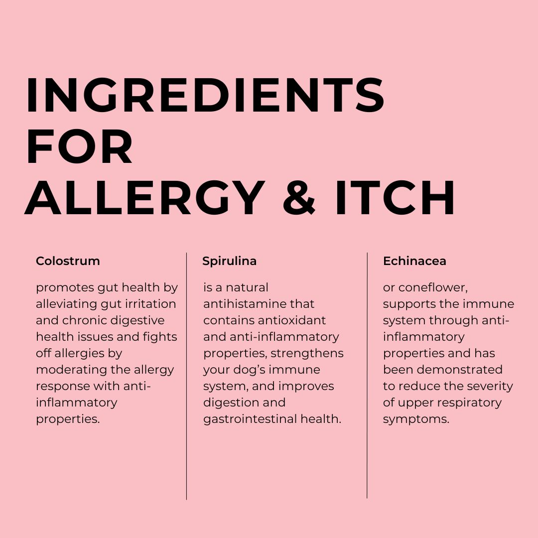 Allergy & Itch Chews
