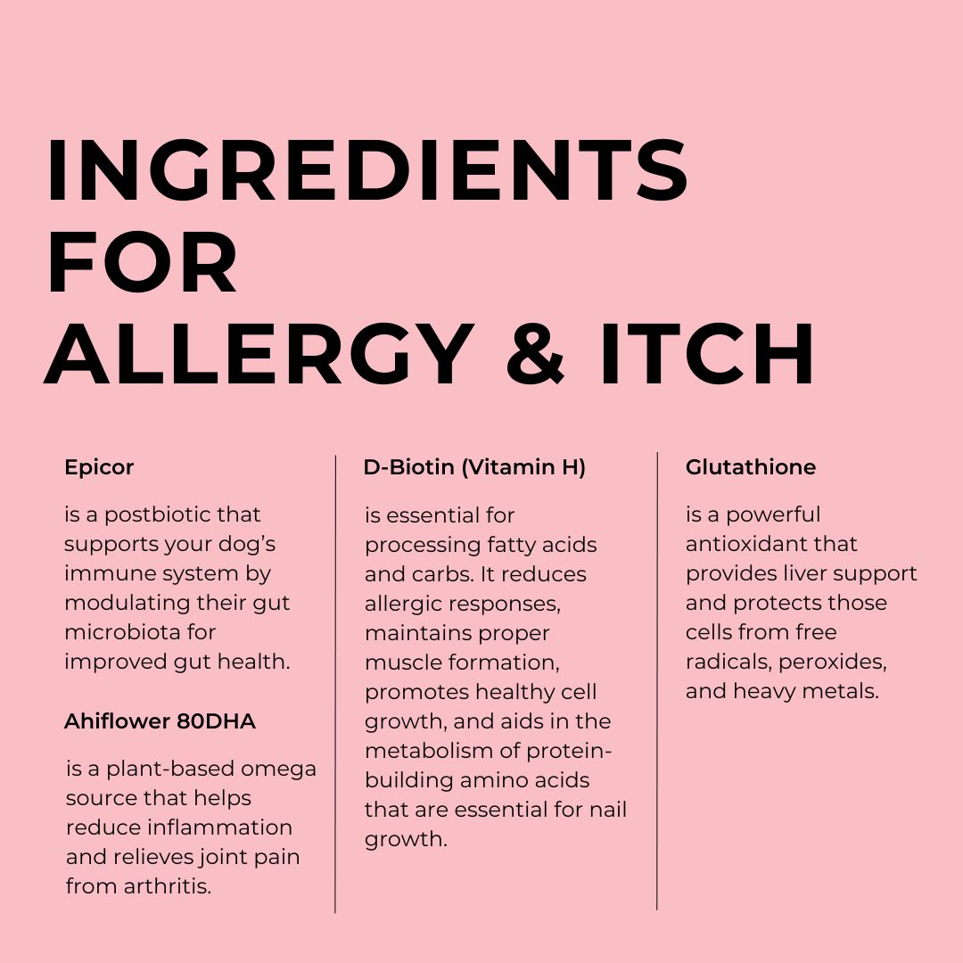 Allergy & Itch Chews