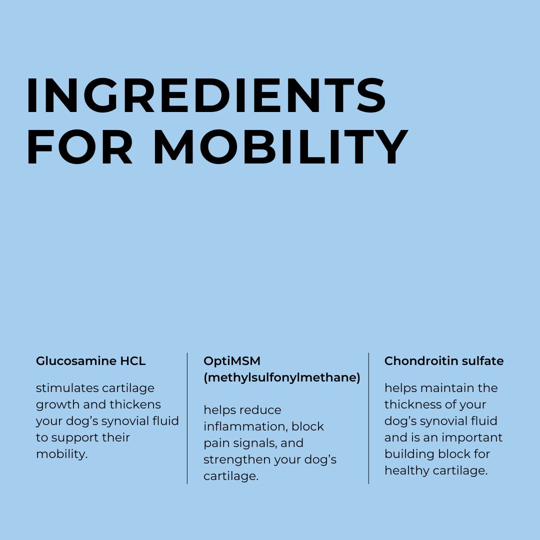 Mobility Chews